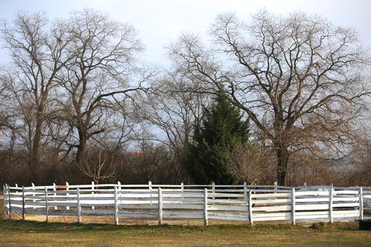 Round pen for horse exercise and training on frosty morning wintertime