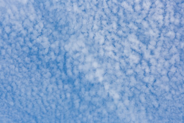 Obraz premium 巻積雲（鱗雲）