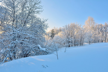 Fabulous beauty of winter landscape - white fluffy snow covered forest on hills, glowing in sunlight lacy branches of trees. Fairy tale of winter wonderland, frost and bright sun beams on blue sky