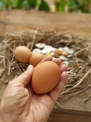 brown egg in hand on coin background