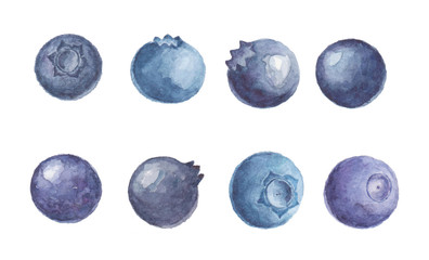 Watercolor set of blueberries isolated on white background.