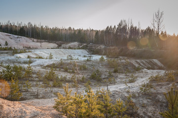 View of the sand quarry area in Piusa. Sand dunes. Piusa caves, Estonia