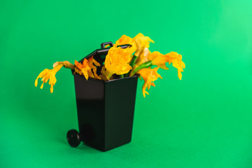 Fototapete bei efototapeten.de bestellen   