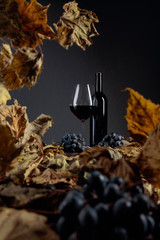 Bottle and glass of red wine on a table with dried vine leaves and blue grapes.