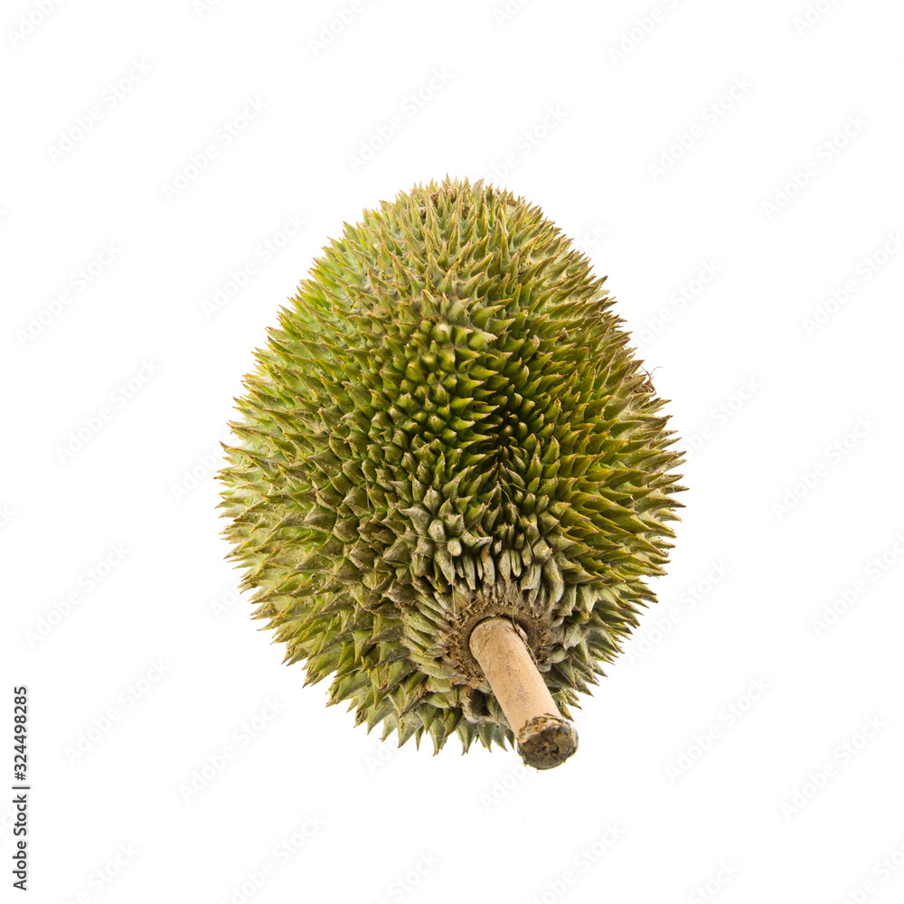 Wall mural durian or durian with concept on background new.