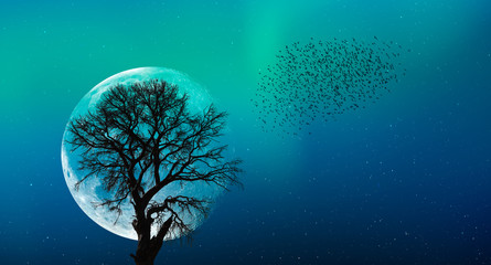 Beautiful landscape with lone tree in the background full moon and aurora "Elements of this image furnished by NASA"