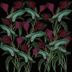 calla lilly in black background - 324498418