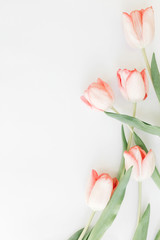 Spring flat lay. Pink tulips border on white background, space for text. Stylish soft spring image. Floral Greeting card mockup. Happy women's day. Happy Mothers day. Creative vertical photo