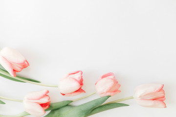 Pink tulips border flat lay on white background, space for text. Stylish soft spring image. Floral Greeting card mockup. Creative minimal  photo. Happy women's day. Happy Mothers day.