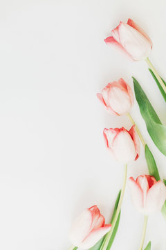 Pink tulips border flat lay on white background, space for text. Stylish soft spring image. Floral Greeting card mockup. Happy women's day. Happy Mothers day. Creative minimal vertical photo