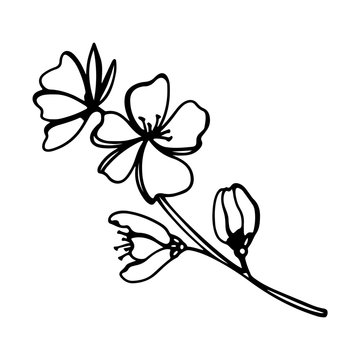 Digital art cute contour doodle flowering peach branch. Print for fabrics, packaging paper, packaging, covers, cards, invitation cards, posters, banners, web design.