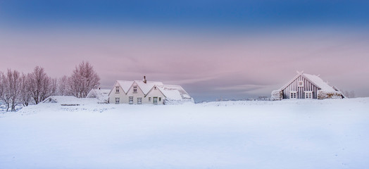 Beautiful winter landscape with houses  