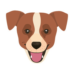 face of brown dog with white spot isolated icon vector illustration design