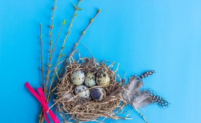 Easter composition with quail eggs in a nest, various feathers, spring twig on a blue background.Greeting card. Flat lay.