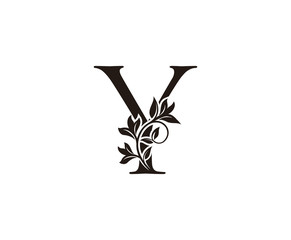 Elegant letter Y. Graceful royal style. Calligraphic beautiful logo. Vintage drawn emblem for book design, brand name, business card, Restaurant, Boutique, Hotel. 