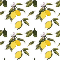 Yeloow lemons with leaves and flowers seamless pattern on white background. Vector summer fresh tropical citrus fruits eps backdrop.