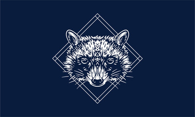 raccoon on dark background © Janja