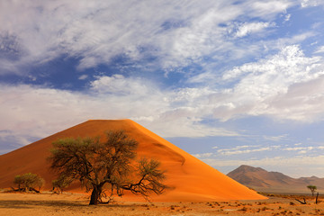 Fototapeta na wymiar Namibia landscape. Big orange dune with blue sky and clouds, Sossusvlei, Namib desert, Namibia, Southern Africa. Red sand, biggest dune in the world. Travelling in Africa.