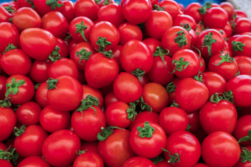 bunch of tomatoes in the market 