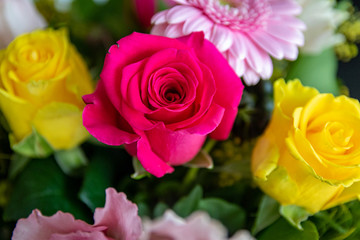 Pinke und gelbe Rosen im Blumenstrauß