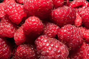 Fresh raspberry  Close up