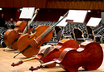 Fototapeta na wymiar Contrabasses on a stage. String instrument. Violin. Cello