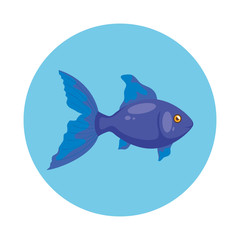 cute fish in frame circular isolated icon vector illustration design