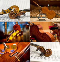 Stringed  musical instruments. Violin. Contrabass. 