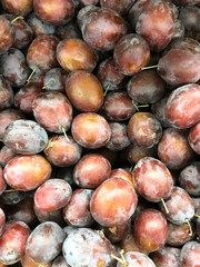 close up of fresh ripe plums
