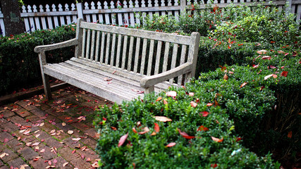 Wooden bench surrounded by hedge in a peaceful park