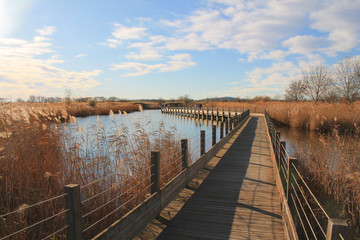 Fototapeta premium The natural Mejean lagoon, a protected wetland in Montpellier, France