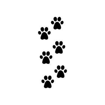 cat footprints icon - illustration