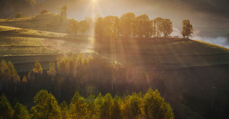 Banner of beautiful misty and foggy morning in golden hour on a peaceful meadow.