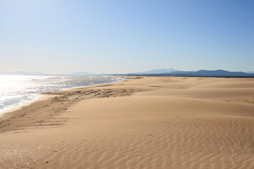 Fototapeta na wymiar The Amazing sandy beach in Gruissan in the Aude department, France