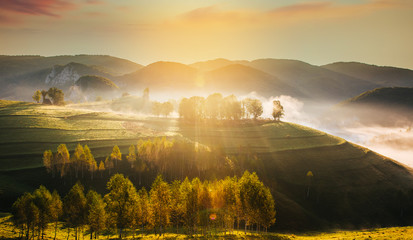 Banner of beautiful misty and foggy morning in golden hour on a peaceful meadow.
