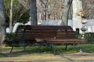 Wooden bench in the park
