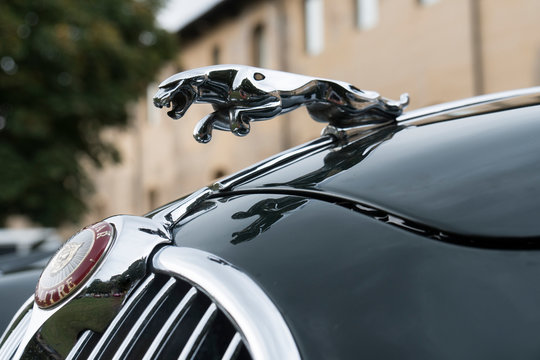Jaguar sign on a vintage classic car. Milan / Italy - October 01, 2016