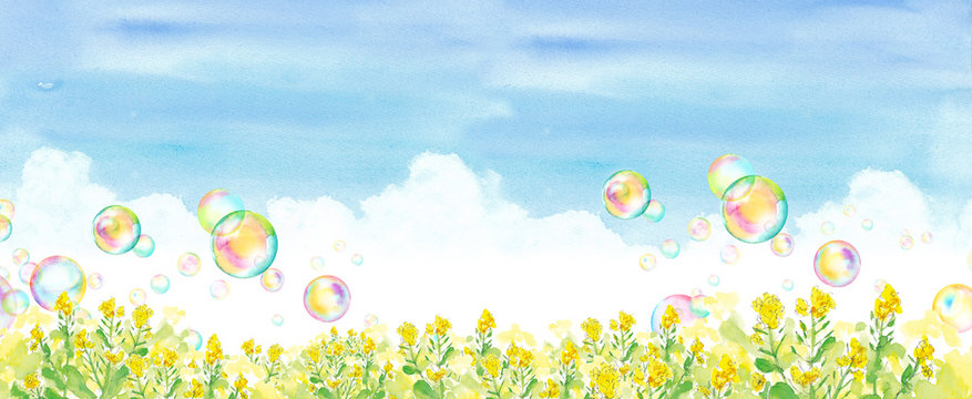 菜の花 Images Browse 42 7 Stock Photos Vectors And Video Adobe Stock