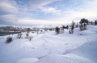 Fototapeta na wymiar idyllic winter landscape on Sommarøy Archipelago in northern Norway, near Tromsoe