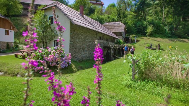 Rack Focus Behind Purple Flowers Of Hikers Walking Past Povhov Mill. Slow Motion