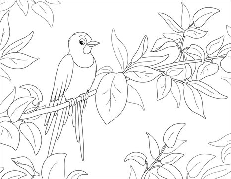 Small Cute Swallow Perched On A Thin Branch With Spring Leaves, Black And White Vector Cartoon Illustration For A Coloring Book Page