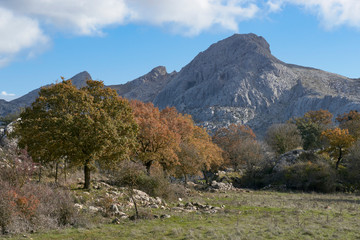 Hiking areas in the mountains of Malaga. Andalusia, Spain