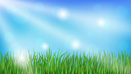 Fototapeta na wymiar Green grass and blue sky with sunbeams and shine.