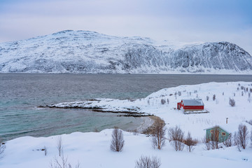 Winter landscape on Vengsøy Island in northern Norway near Tromsoe