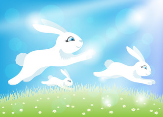 White easter bunnies on a green meadow and blue sky with sunbeams and shine.