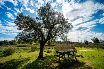 Obraz na płótnie Canvas Mesa de madera para picnic en el campo en un cielo con nubes