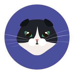 face of cat black and white in frame circular vector illustration design