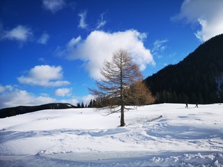 Seewiesen Steiermark
