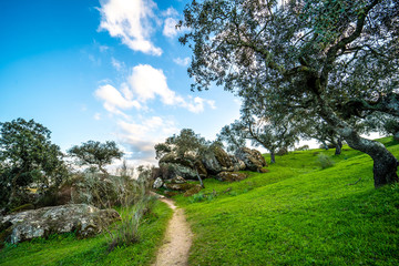 Camino de senderismo en plena naturaleza