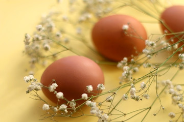 Free range eggs and gypsophila flowers on bright yellow background. Selective focus.